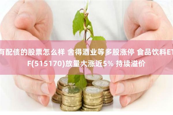 有配债的股票怎么样 舍得酒业等多股涨停 食品饮料ETF(515170)放量大涨近5% 持续溢价