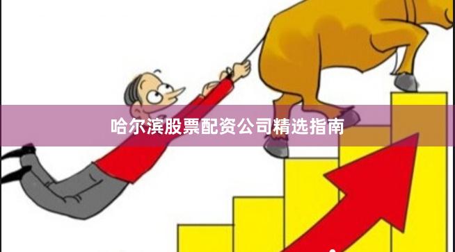 哈尔滨股票配资公司精选指南